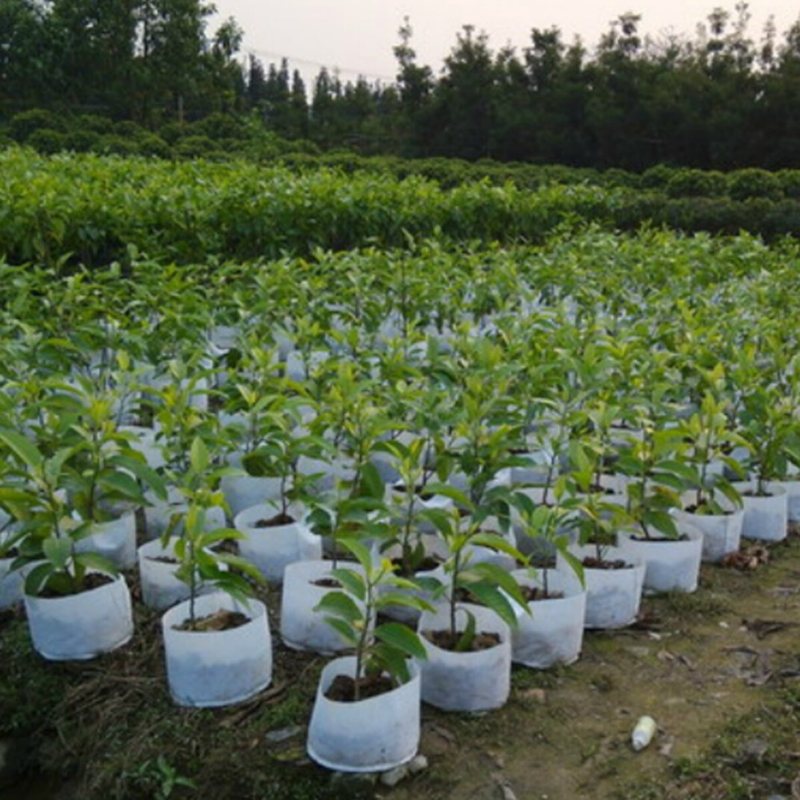 10 St Miljövänliga Runda Tyger Krukplanteringspåse Root Grow Luftningsbehållare Fröplantpåse Box