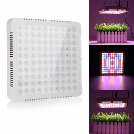 100 Led Grow Light Full Spectrum Panel För Inomhus Hydro Veg Flower Plant Lamp