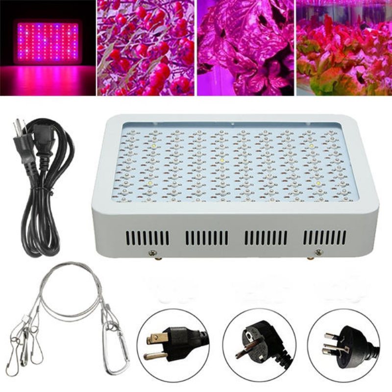 100w Full Spectrum 100 Led Grow Light Lampa För Växter Hydroponisk Inomhusblomma