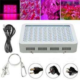 100w Full Spectrum 100 Led Grow Light Lampa För Växter Hydroponisk Inomhusblomma