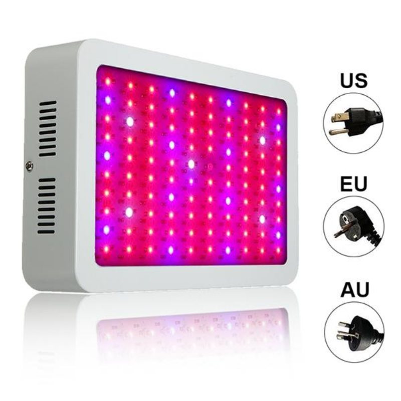 100w Full Spectrum 100 Led Grow Light Lampa För Växter Hydroponisk Inomhusblomma