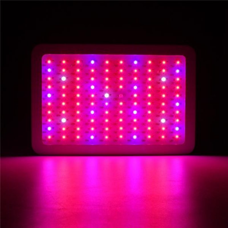 100w Full Spectrum 100 Led Grow Light Lampa För Växter Hydroponisk Inomhusblomma