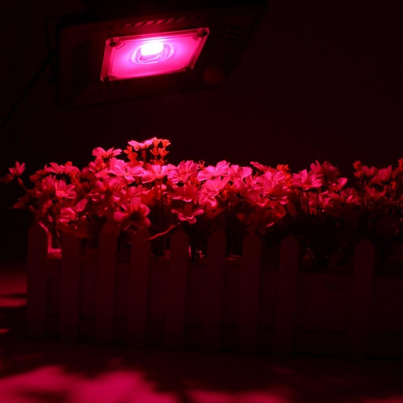 100w Full Spectrum Cob Led Grow Flood Light Vattentät Plant Veg Flower Hydroponic Lamp Ac90-264v