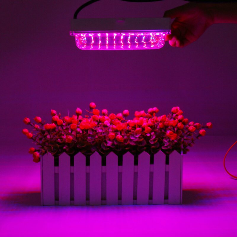 100w Led Växthus Trädgård Hydroponic Plant Grow Light Full Spectrum Växande Panel