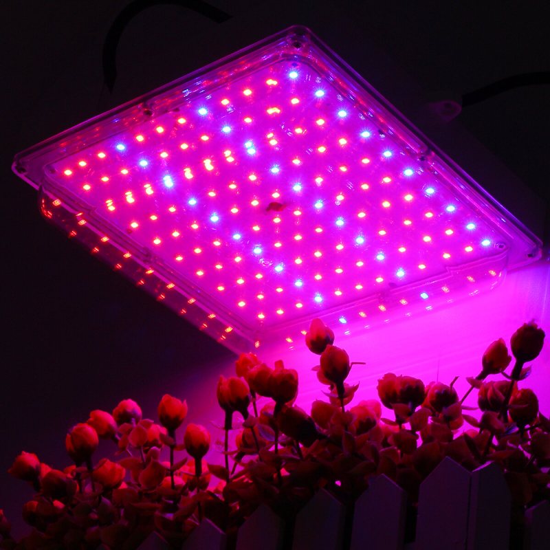 100w Led Växthus Trädgård Hydroponic Plant Grow Light Full Spectrum Växande Panel