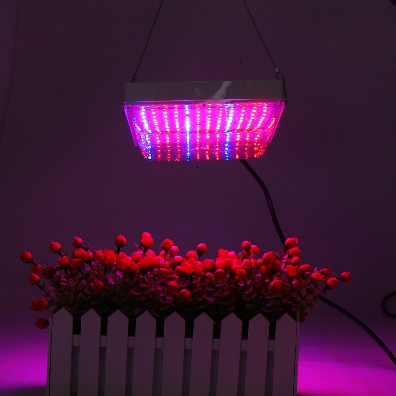 100w Led Växthus Trädgård Hydroponic Plant Grow Light Full Spectrum Växande Panel