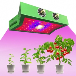 1200w Full Spectrum Led Plant Grow Light För Inomhusgrönsak 85-265v