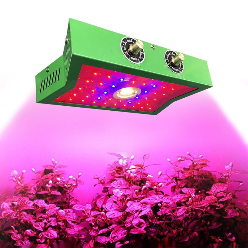 1200w Full Spectrum Led Plant Grow Light För Inomhusgrönsak 85-265v