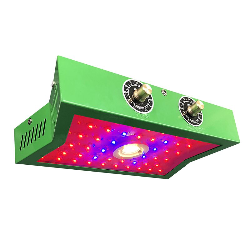 1200w Full Spectrum Led Plant Grow Light För Inomhusgrönsak 85-265v