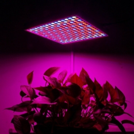 1200w Led Spectrum Grow Light-odlingslampa För Hydroponisk Inomhusväxt