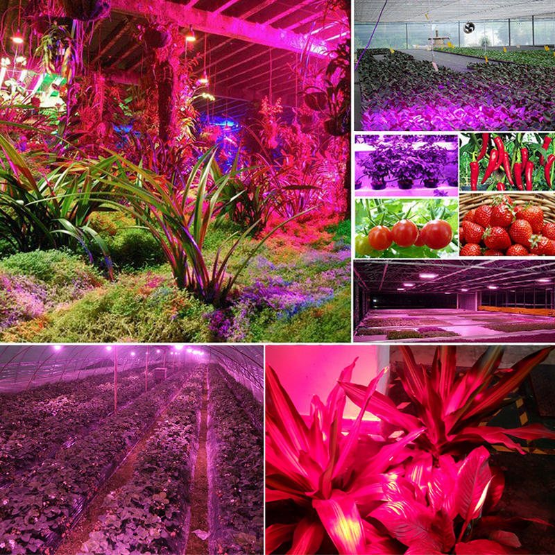 130led Dimbar Grow Light Full Spectrum Veg Plant Lamp Timing Remote