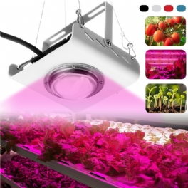 144led Cob Plant Grow Light Full Spectrum 380-800nm 4000k Hydroponisk Tillväxtlampa