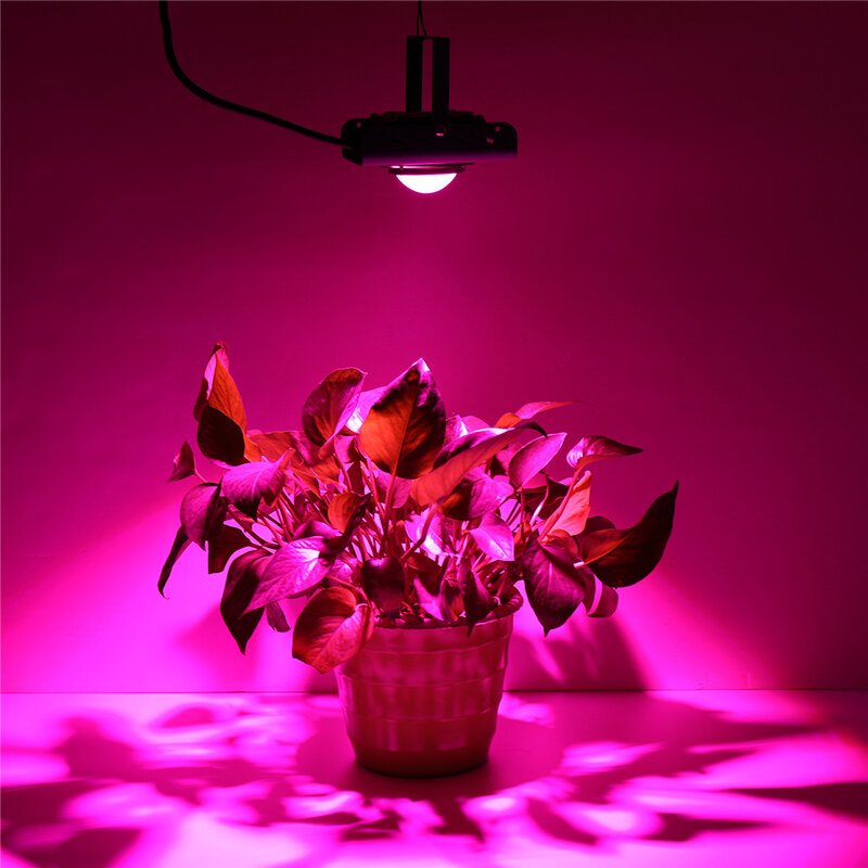 144led Cob Plant Grow Light Full Spectrum 380-800nm 4000k Hydroponisk Tillväxtlampa