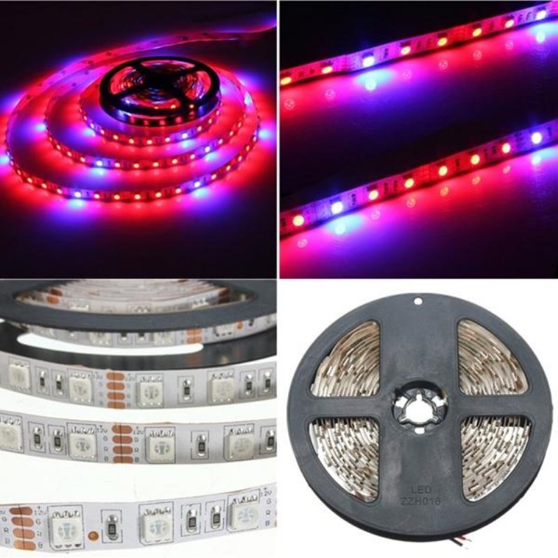 1m 2m 3m 4m 5m 3:1 5050 Smd Led Icke Vattentät Hydroponic Plant Grow Strip Light Dc12v