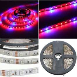 1m 2m 3m 4m 5m 3:1 5050 Smd Led Icke Vattentät Hydroponic Plant Grow Strip Light Dc12v