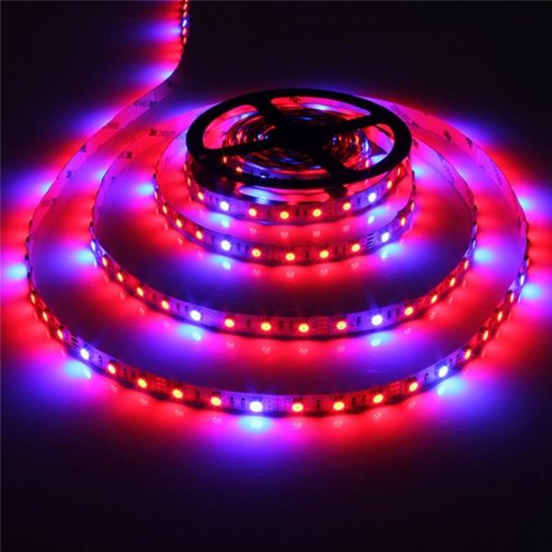 1m 2m 3m 4m 5m 3:1 5050 Smd Led Icke Vattentät Hydroponic Plant Grow Strip Light Dc12v