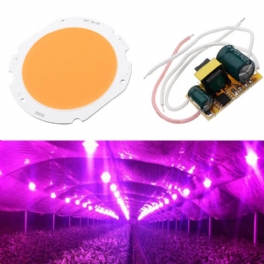 20w Led Cob Round Grow Light Chip Diy Med Ac90-240v Drivrutin För Växtblomma Inomhus