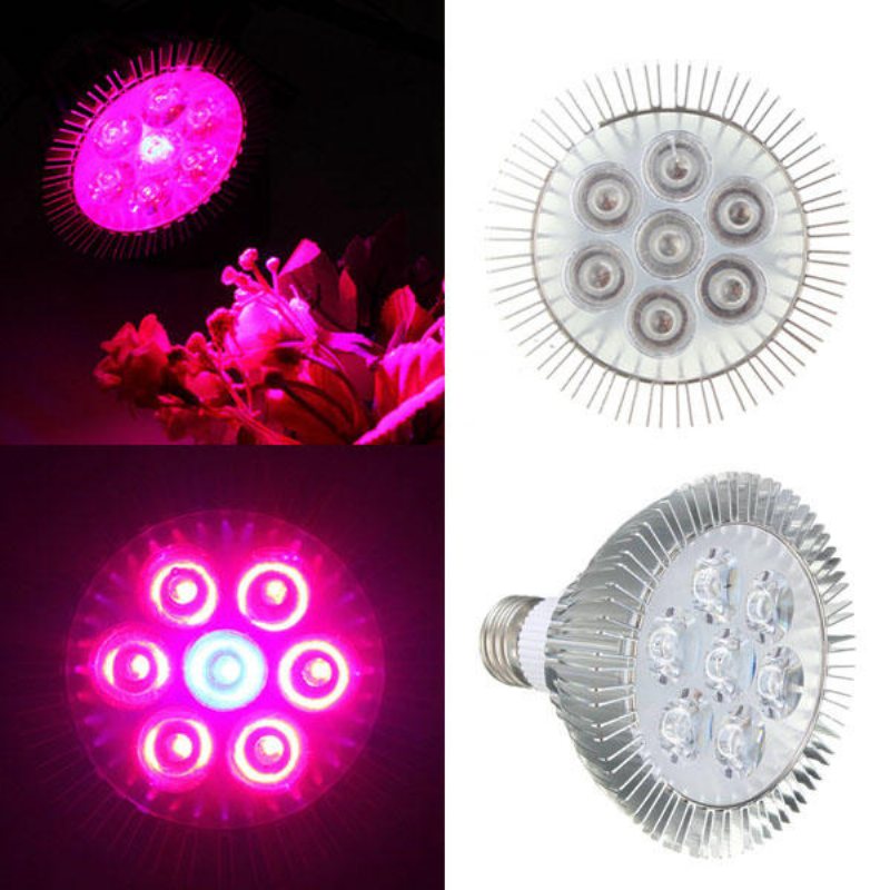 21w E27 Röd + Blå Led Plant Grow Light Lampa Blomma Hydroponic Globe Bulb 85-265v