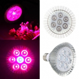 21w E27 Röd + Blå Led Plant Grow Light Lampa Blomma Hydroponic Globe Bulb 85-265v