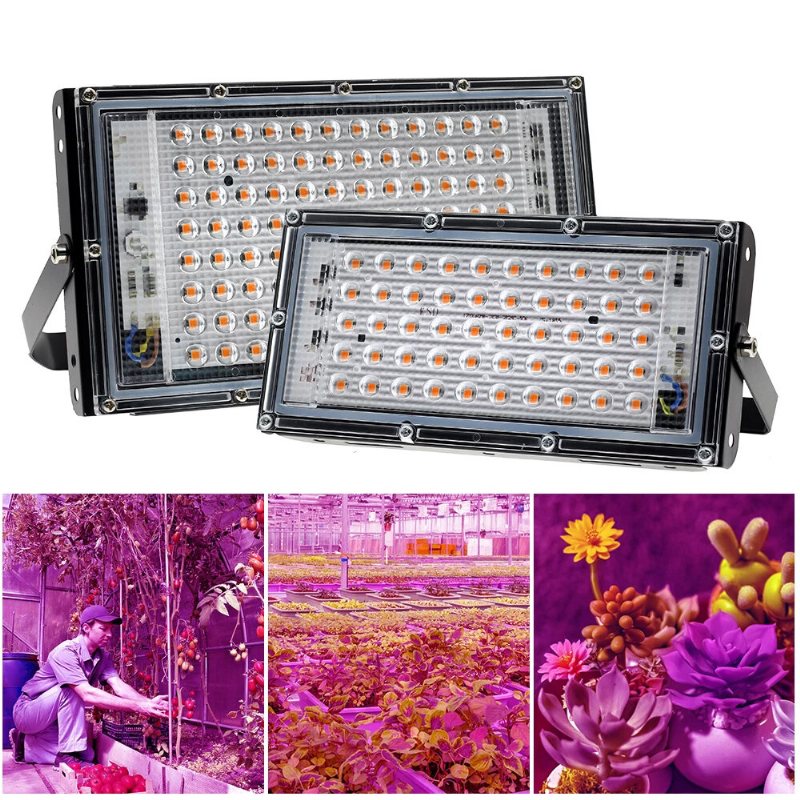 220v Led Grow Light Phytolamp Plants Full Spectrum Led Floodlight Blommor Plantor Plant Odling Phyto Lamp