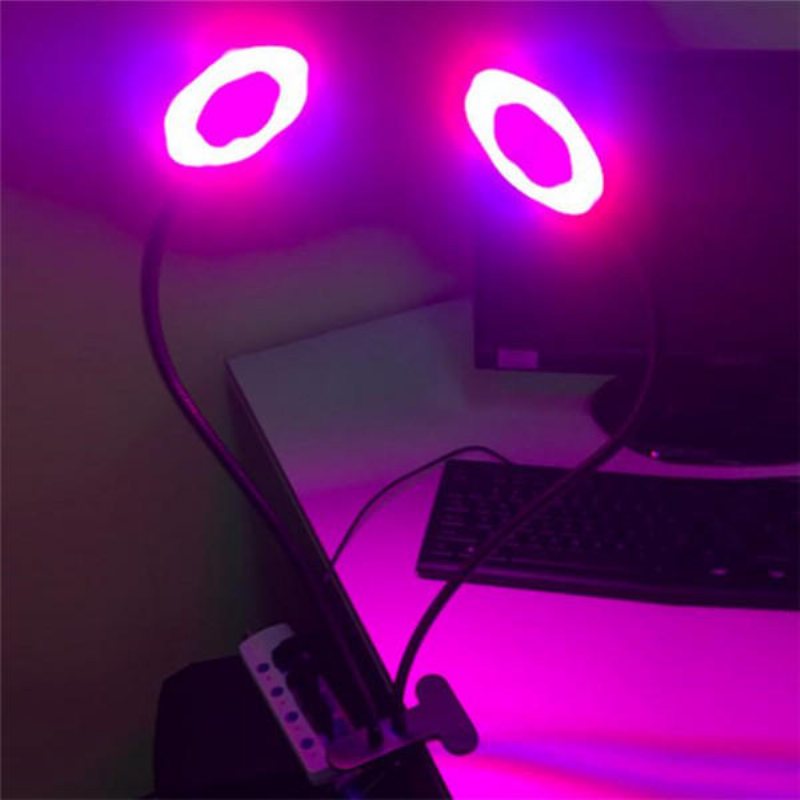 24w Daul Head Led Plant Grow Light Flexibel Skrivbordsklämma Lampa För Grönsaker Frukt Blommor Hydroponics