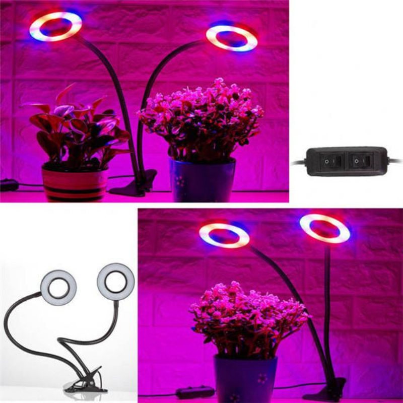 24w Daul Head Led Plant Grow Light Flexibel Skrivbordsklämma Lampa För Grönsaker Frukt Blommor Hydroponics