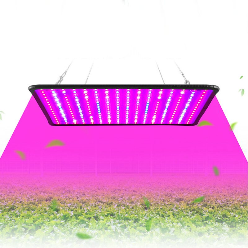 256led Full Spectrum Plant Uv Grow Light Veg Lampa För Inomhus Hydroponisk Växt