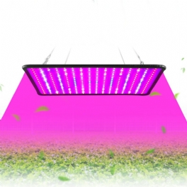 256led Full Spectrum Plant Uv Grow Light Veg Lampa För Inomhus Hydroponisk Växt