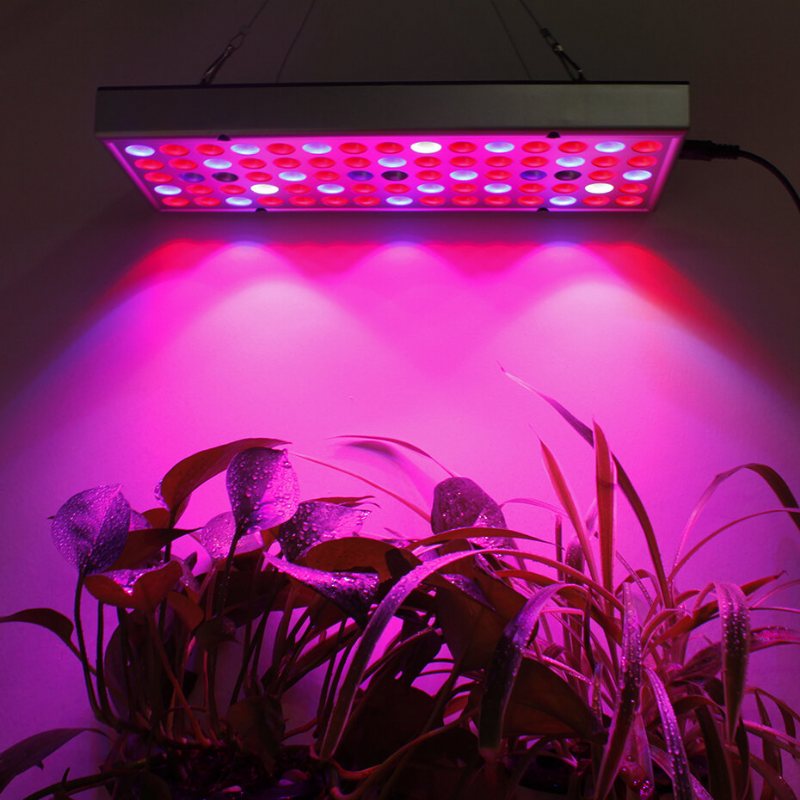 25w 75led Full Spectrum Växter Växande Lampor 1000lm Uv Röd Blå Vitt Ljus Chips För Växthussådd Odling Inomhus Blomma Bonsai Plantering