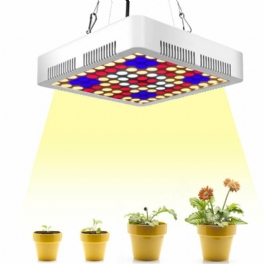 300w 100 Led Grow Light Full Spectrum Panel Indoor Plant Flower Lighting Lampor