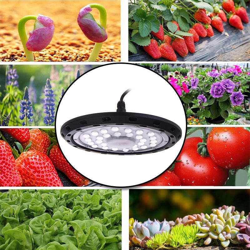 300w Led Grow Light Full Spectrum Hydroponics Växthusodlingslampa Växtlampa