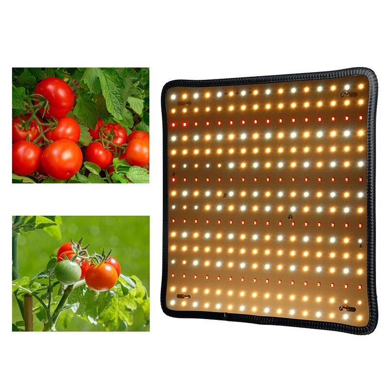 30cmx30cm Spectrum 256 Led Grow Light-odlingslampa För Hydroponics Blomväxt