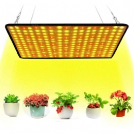 30cmx30cm Spectrum 256led Grow Light Växande Lampa För Hydroponics Blomma