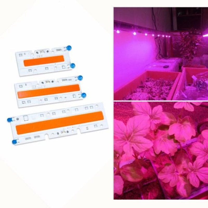 30w/50w/70w High Power Full Spectrum Led Grow Cob Light Chip För Växter Grönsak Ac110v/ac220v