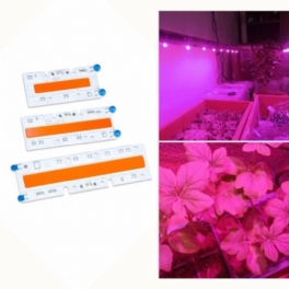 30w/50w/70w High Power Full Spectrum Led Grow Cob Light Chip För Växter Grönsak Ac110v/ac220v