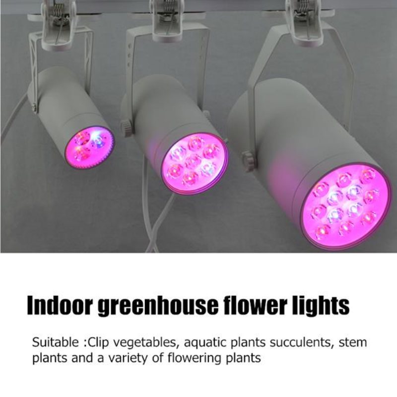 3w 7w 12w Led Plant Lights Grow Lamp Flood Kompletterande Ljus