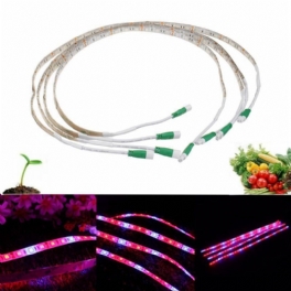 4 St 20w 36 Led Grow Light Strip Röd:blå 4:1 Vattentät Led Plant Eu/us Plugg Ac100-240v