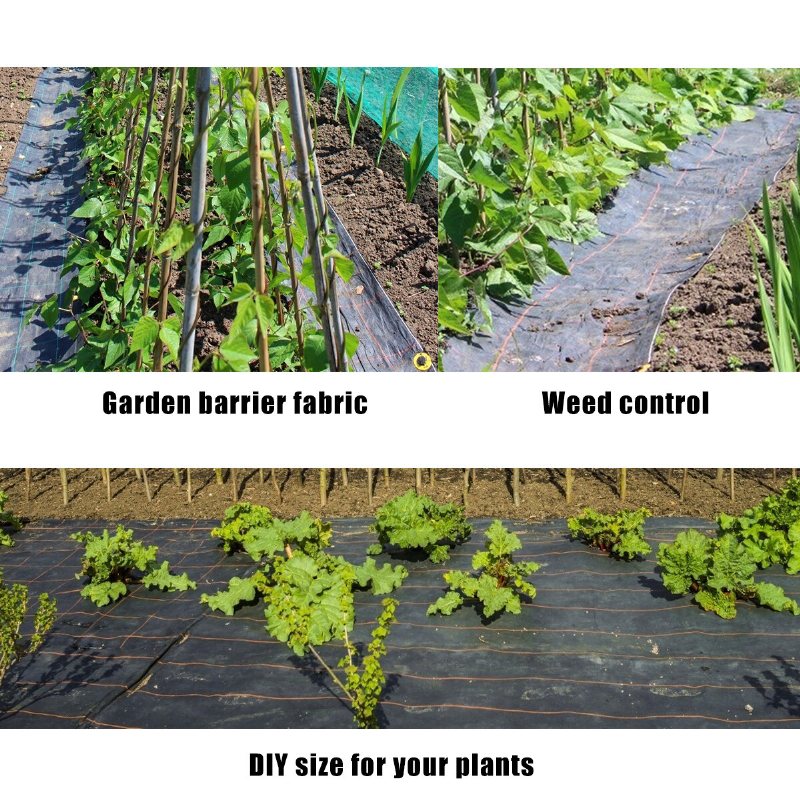 4 X 250ft Weed Barriär Trädgård Landskap Tyg Slitstarkt Block Mark Tyg Överdrag Jordbruk Växthus Trädgårdsmatta