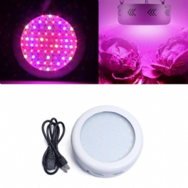 40w Full Spectrum Ufo 50 Led Plant Light Indoor Hydroponics Grow Lamp För Grönsaksblomma Ac85-265v