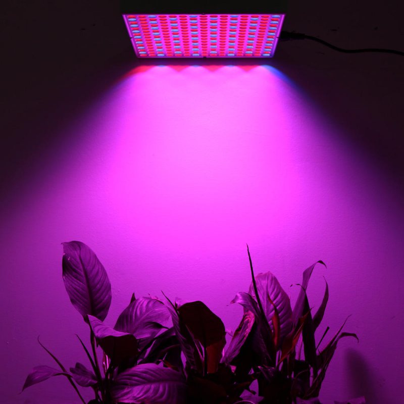 45w 200w Reflector Cup Full Spectrum Led Grow Lights För Tält Box Indoor Greenhouse