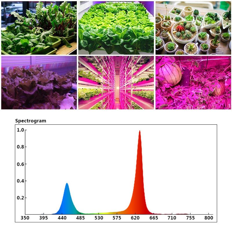 45w Led Grow Light Panel Växande Lampa Hydroponics Inomhus Blomma Veg Bloom Lighting Ac85-265v