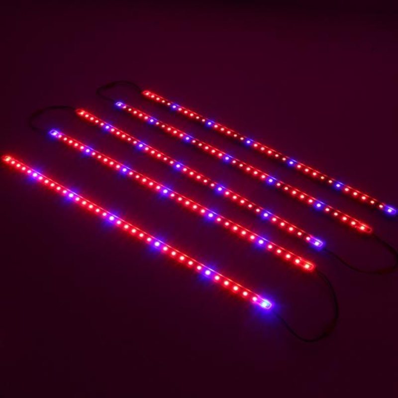 5 St 50cm Smd5050 Icke-vattentät 5:1 Led Strip Light + 5a Nätadapter För Grow Plant Garden Dc12v