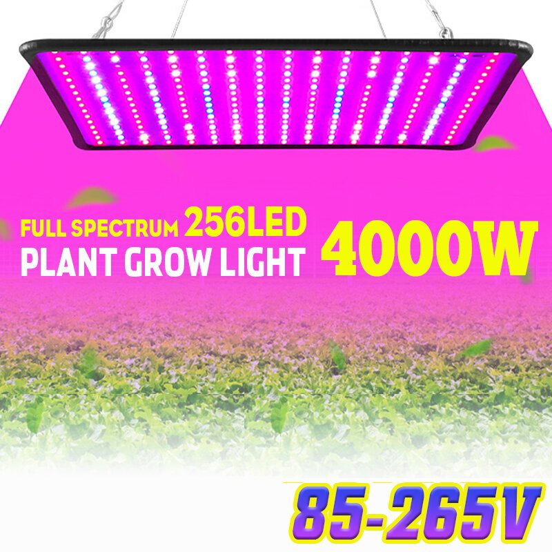 5000w Led Full Spectrum Plant Uv Grow Light Veg Växande Lampa Inomhus Hydroponic