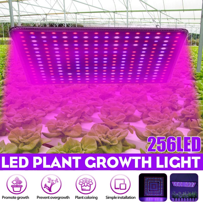 5000w Led Full Spectrum Plant Uv Grow Light Veg Växande Lampa Inomhus Hydroponic