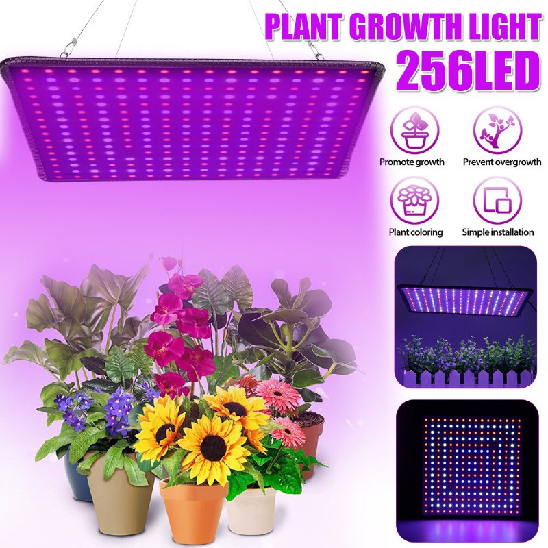 5000w Led Full Spectrum Plant Uv Grow Light Veg Växande Lampa Inomhus Hydroponic