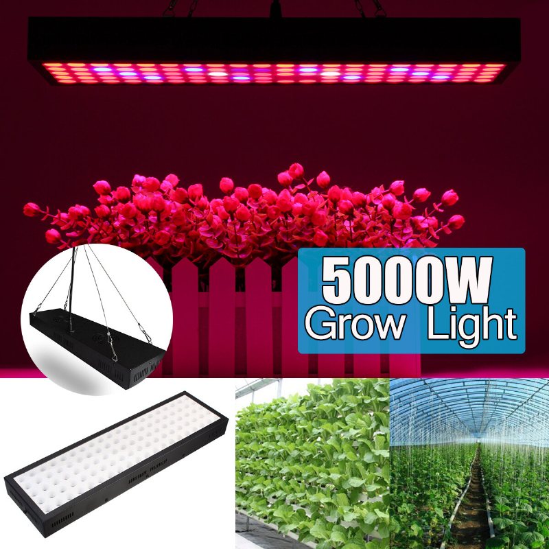 5000w Led Grow Light Strip Hydroponic Full Spectrum Veg Flower Plant Lamp Panel