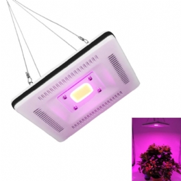 50w Cob Led Square Full Spectrum Grow Light Vattentätt Ip64 Flood Lamp Plant Blomma Hydroponiskt Växthus Inomhus