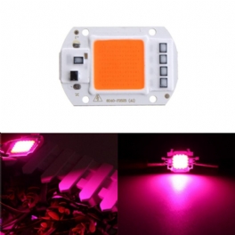 50w Full Spectrum Led Cob Chip Plant Grow Light Ac220/110v