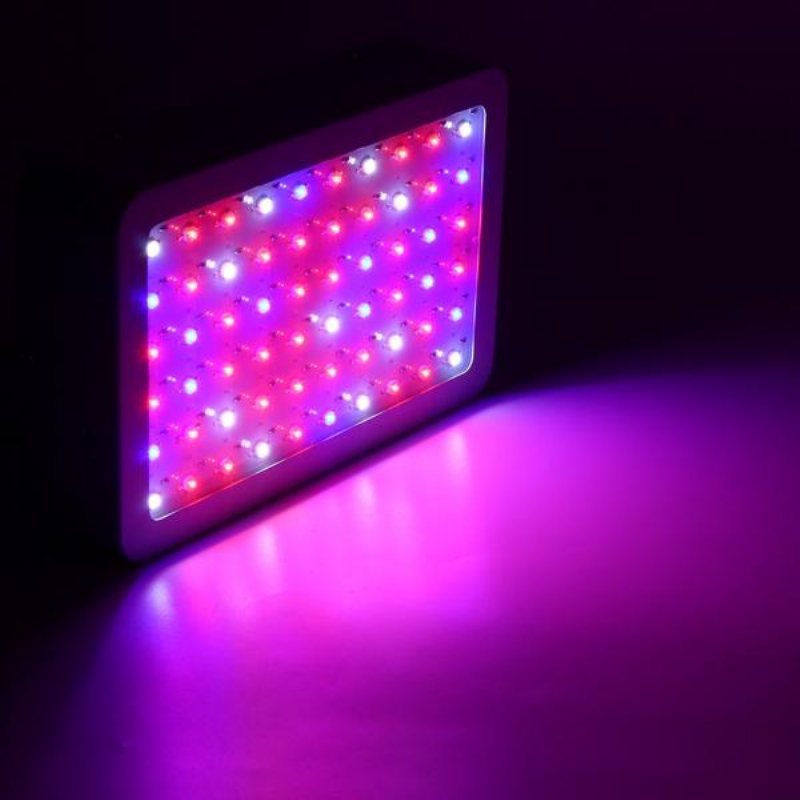 50w Full Spectrum Led Grow Light Hydroponic Indoor Veg Bloom Plant Lamp