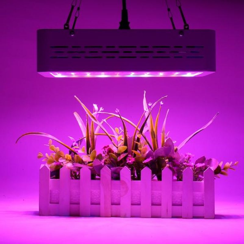 50w Full Spectrum Led Grow Light Hydroponic Indoor Veg Bloom Plant Lamp